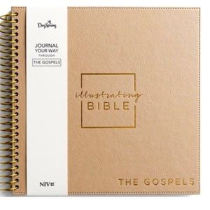 Dayspring Illustrating Bible: Journal Your Way Through The Gospels